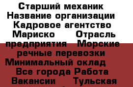 Старший механик › Название организации ­ Кадровое агентство "Мариско-2" › Отрасль предприятия ­ Морские, речные перевозки › Минимальный оклад ­ 1 - Все города Работа » Вакансии   . Тульская обл.